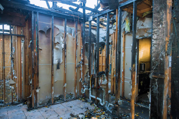 Professional Soot Cleanup technician working in Cynthiana, KY